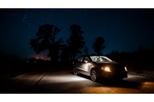 Explore The Dogging World