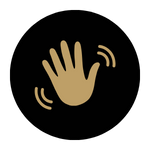 Wave Icon