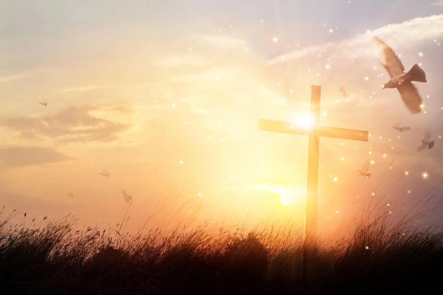 Christian
