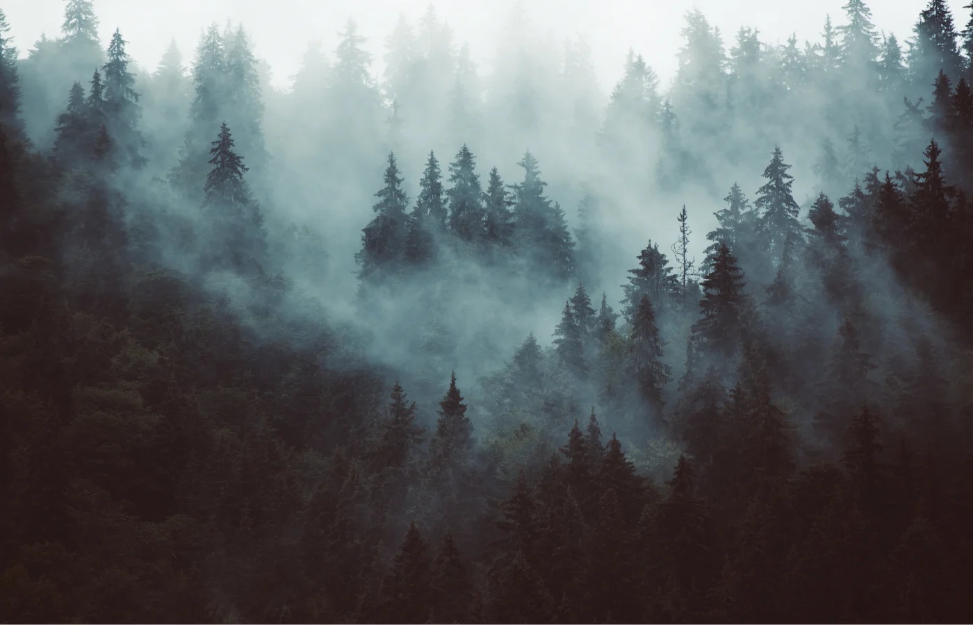 fb background image
