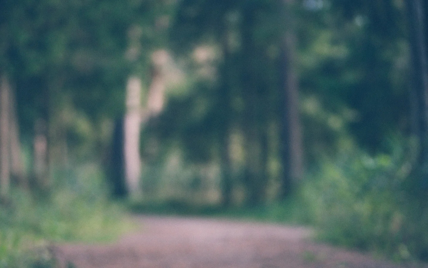 fb background image